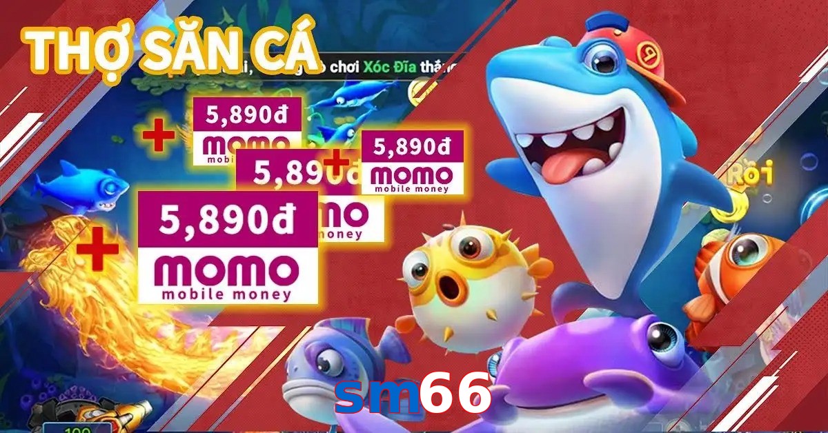 sm66