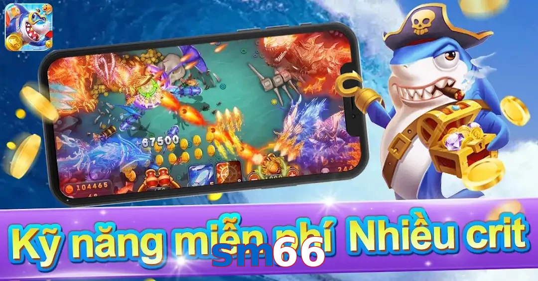 sm66