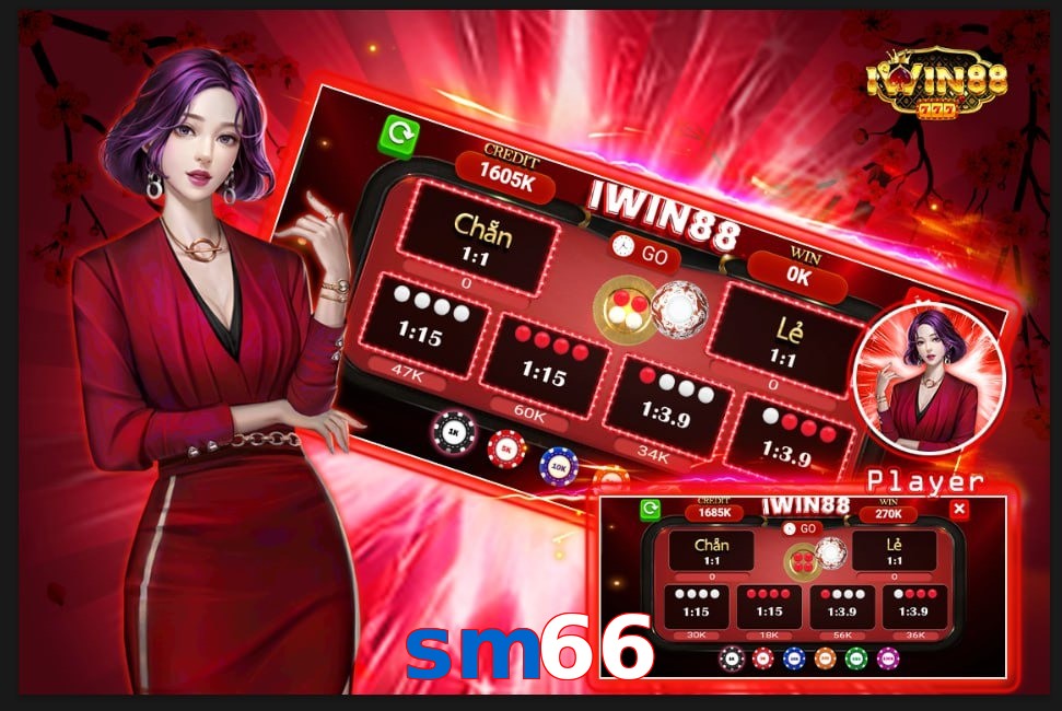 sm66