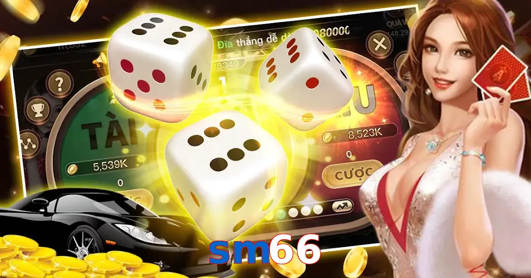 sm66